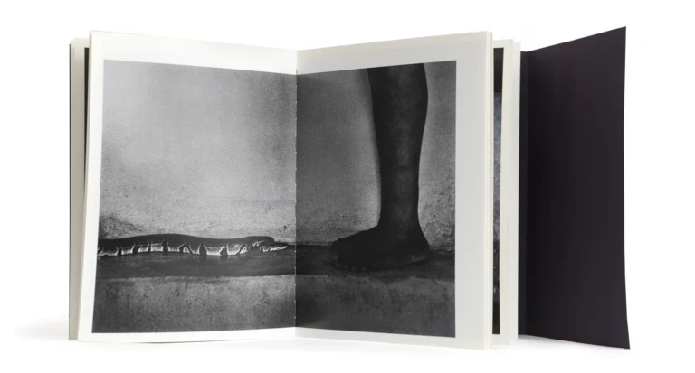 Dancing Your Dream Awake - Photo Book - Anita Andrzejewska