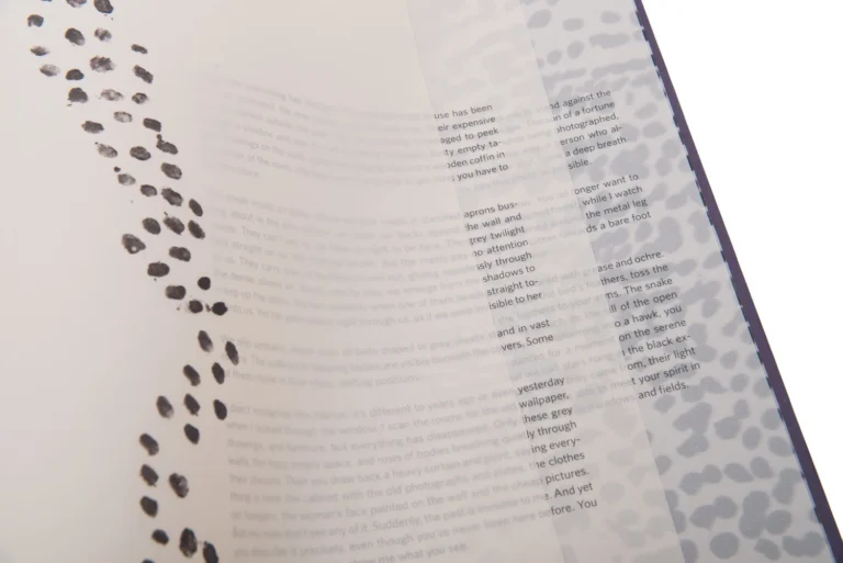 Dancing Your Dream Awake - Photo Book - Anita Andrzejewska