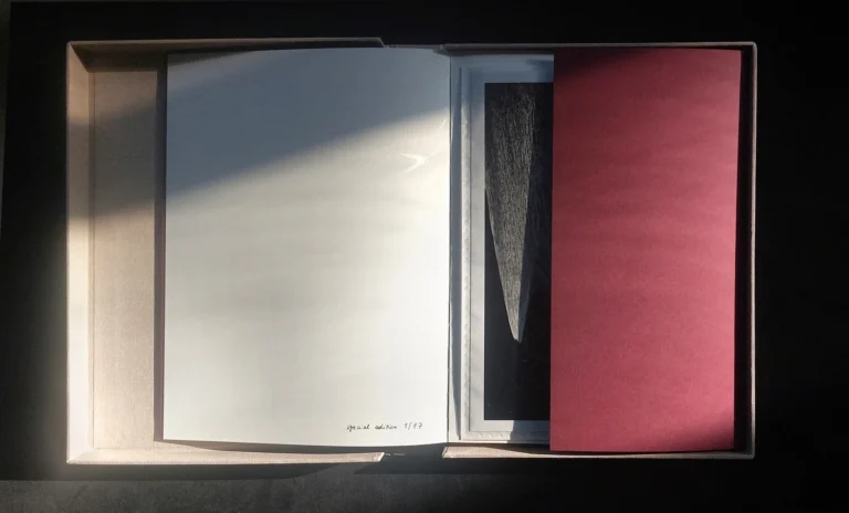 Dancing Your Dream Awake special edition - Photo Book - Anita Andrzejewska