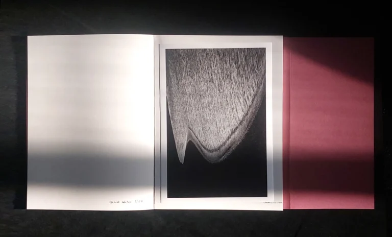 Dancing Your Dream Awake special edition - Photo Book - Anita Andrzejewska