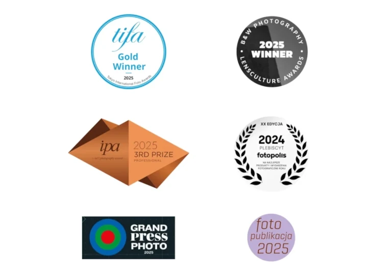 Dancing Your Dream-Awake - Awards